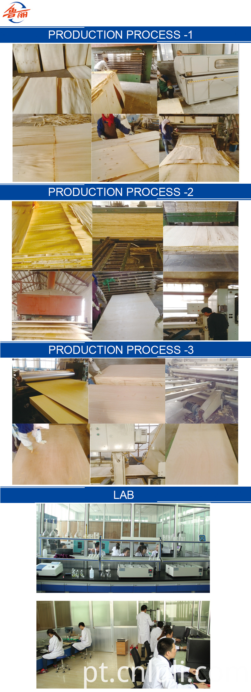Contraplacado comercial e laboratório Commercial Plywood And Lab